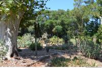 Photo Reference of Background Garden Palermo 0003
